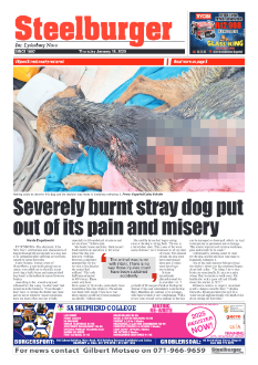 Steelburger News 16 January 2025